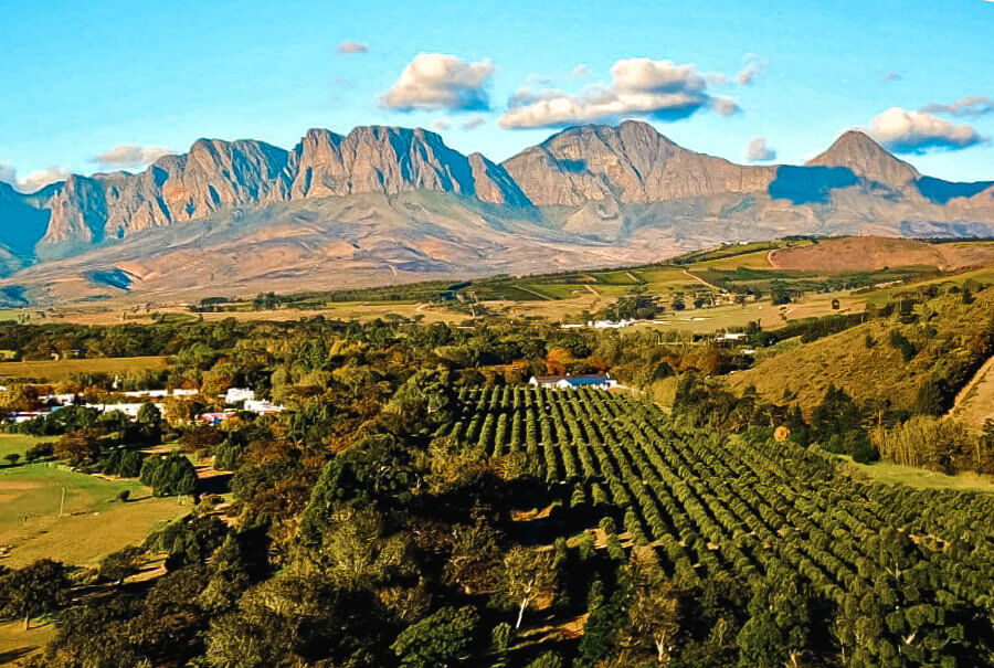 View of Stellenbosch Wine Farm from above