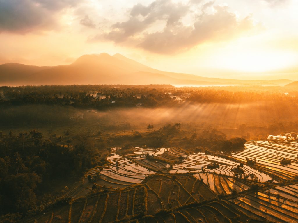 Sunset over the rice paddies in Bali 