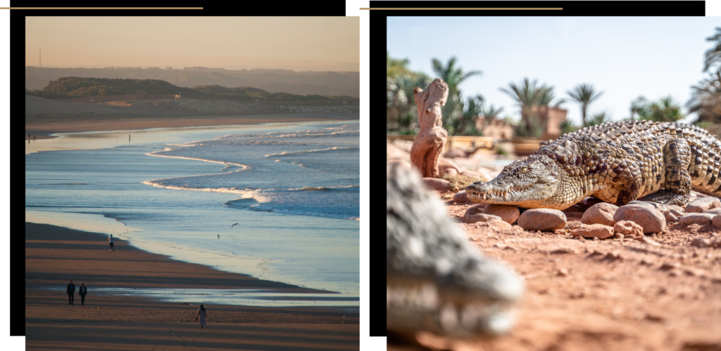 Beach and Crocoparc at Agadir, a Moroccan city which is reopening 