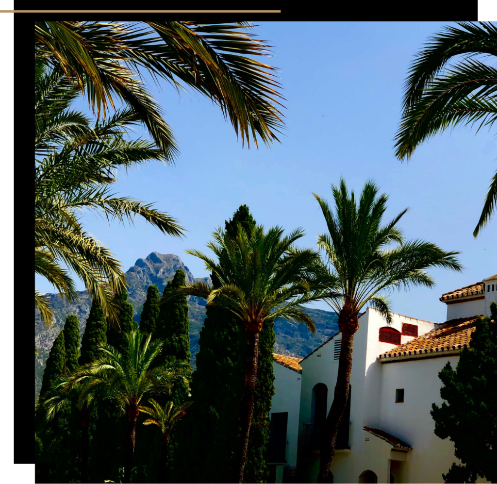 Palm trees in Marbella, Spain, one of the best winter sun destinations in Europe