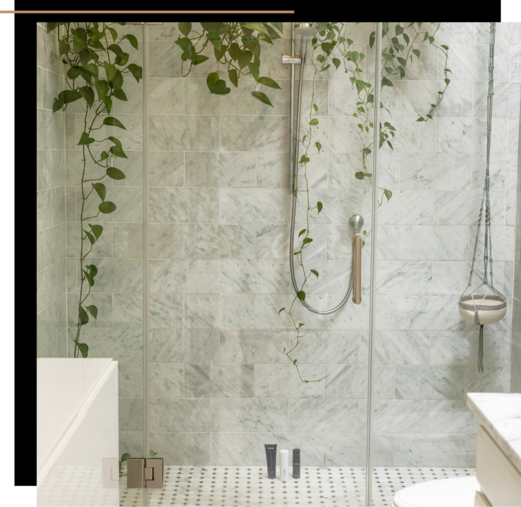 Plants in the shower