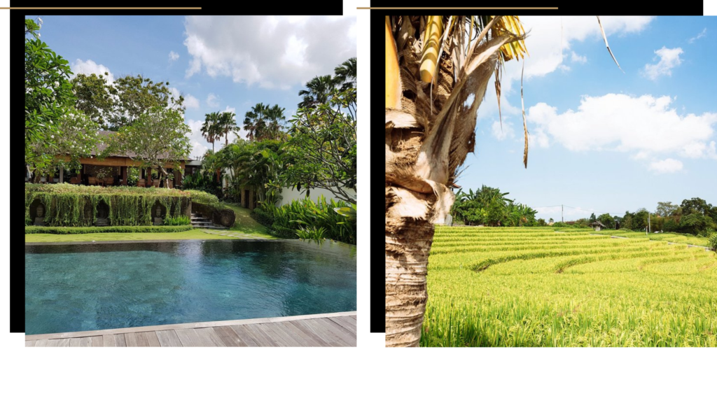 Escape Haven, one of the best wellness retreats in Bali